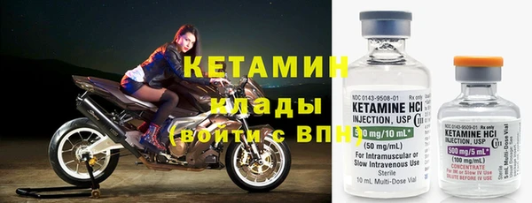 крисы Дмитриев