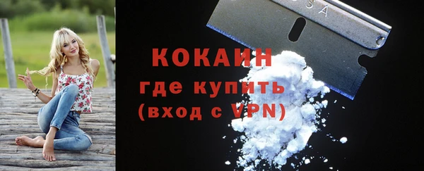 крисы Дмитров