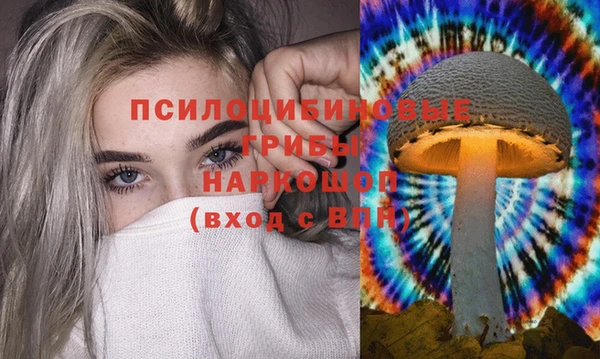крисы Дмитриев