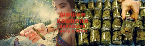крисы Дмитров