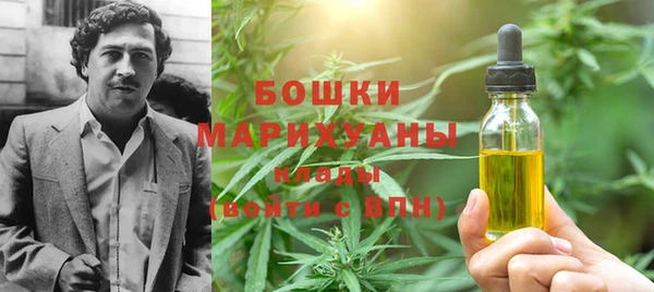 крисы Дмитров