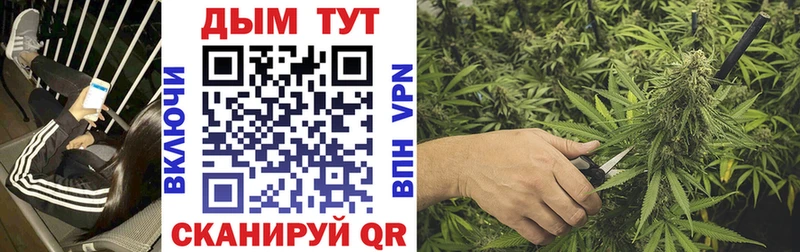 Марихуана THC 21%  Купить  Малгобек 